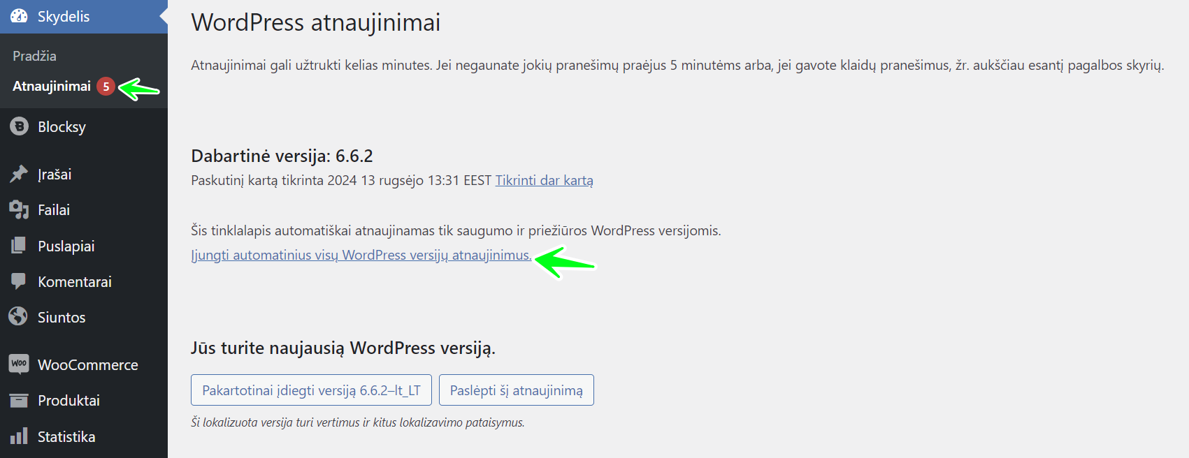 2024 09 Automatiniu WordPress atnaujinimu ijungimas